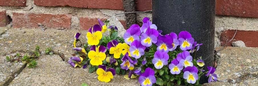 WhatsApp Image 2026-03-12 at 13.01.58_Ausschnitt