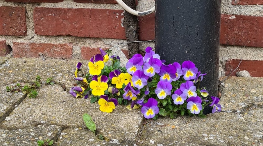 WhatsApp Image 2026-03-12 at 13.01.58_Ausschnitt