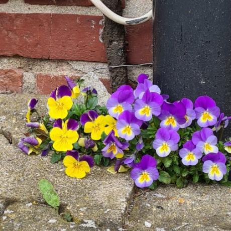 WhatsApp Image 2026-03-12 at 13.01.58_Ausschnitt