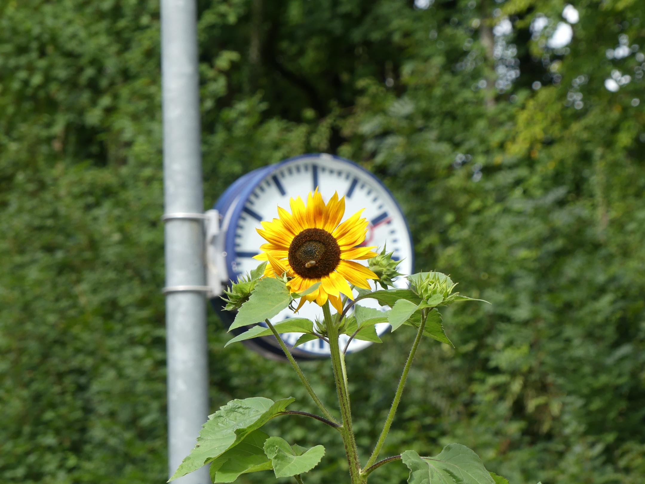 p1040233_by_wunibald-woerle_pfarrbriefservice