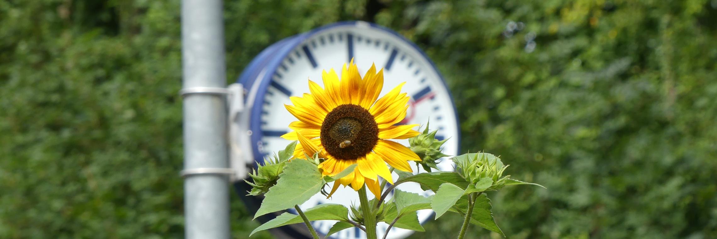 p1040233_by_wunibald-woerle_pfarrbriefservice