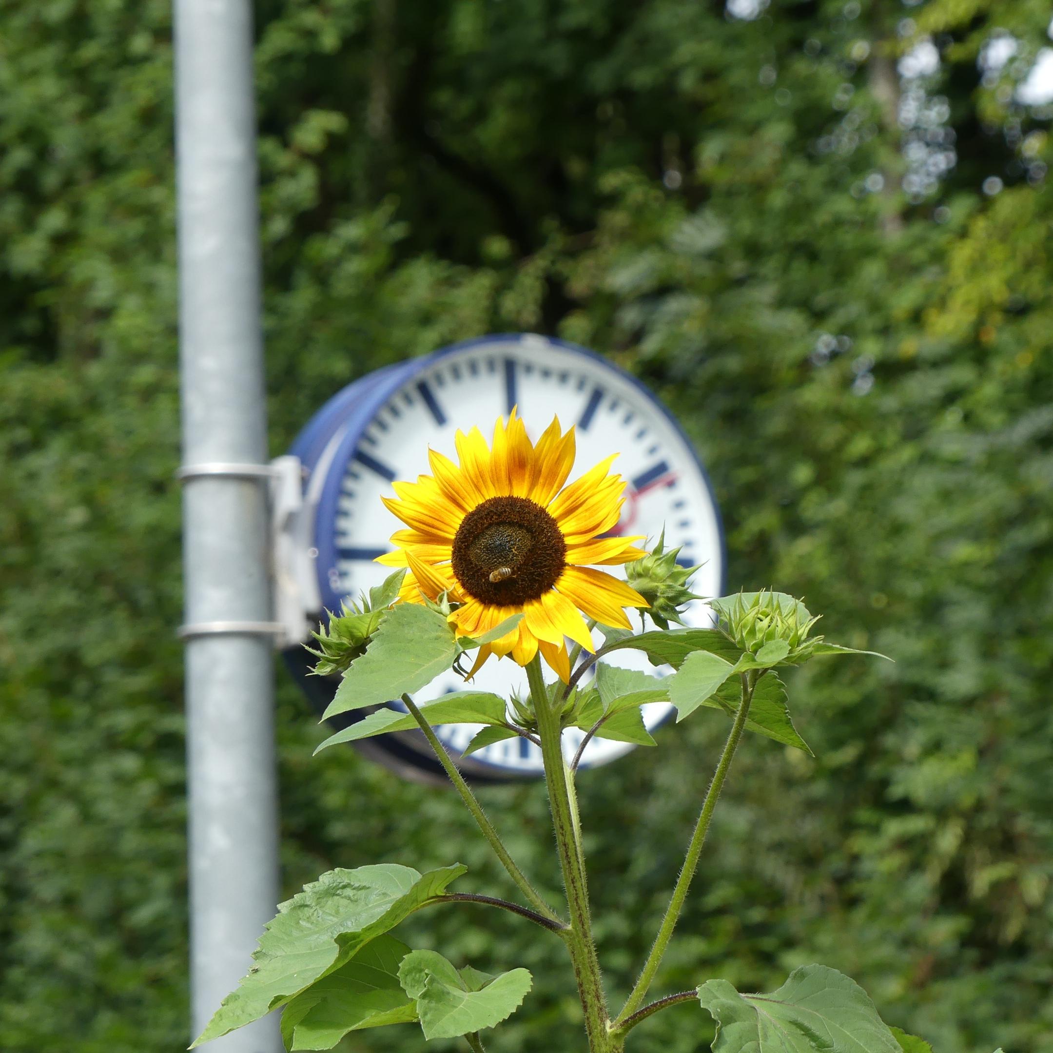 p1040233_by_wunibald-woerle_pfarrbriefservice